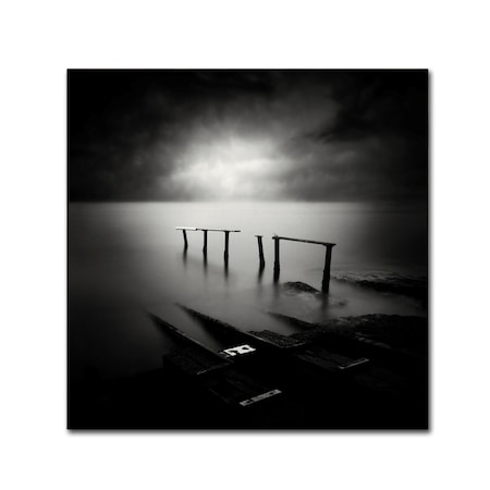 Trademark Fine Art Yucel Basoglu 'Remnants' Canvas Art, 35x35 1X01319-C3535GG